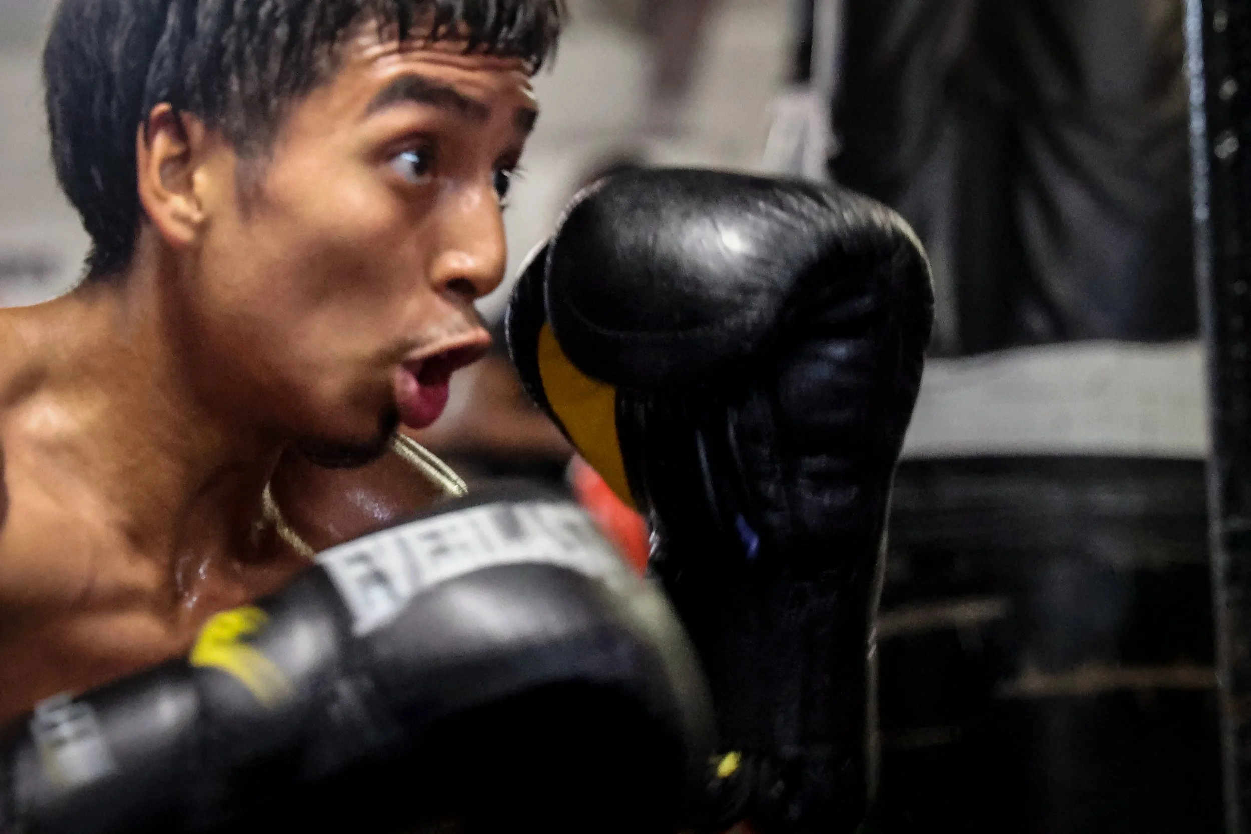 Ike & Randy's Gym — THOMAS E. FRANKLIN